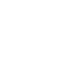 Paper Shark